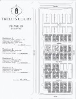 trellis court 5-2-17.jpg