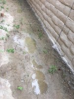 side wall - s.jpg