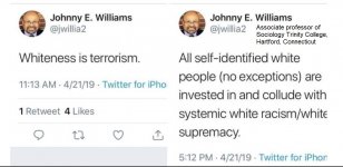 Whiteness is terrorism.jpg