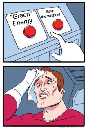 Decisions Decisions.jpg