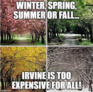 1688663288417.png