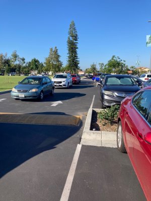 People voting with their cars against climate change nonsense.jpg