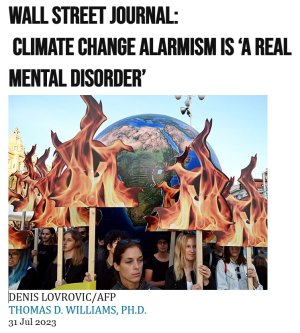 WSJ Mental disorder.jpg