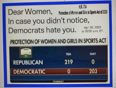 DEMOCRATS HATE WOMEN.jpg