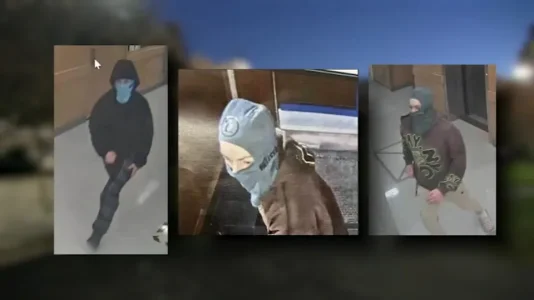 1762209311421.webp 1762209311421.webp