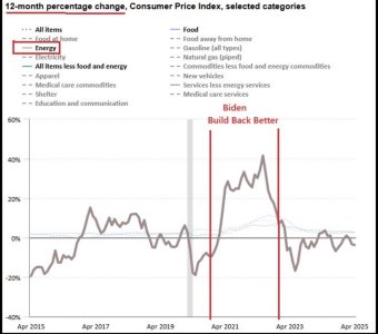 IMG_7796.jpeg IMG_7796.jpeg