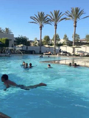 IMG_4610.jpeg