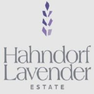 hahndorflavender