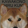 kawakonohirukun_IHB