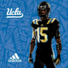 BruinRevolution