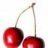 cherry14_IHB